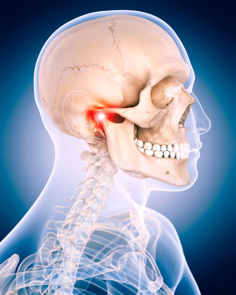 Temporomandibular joint