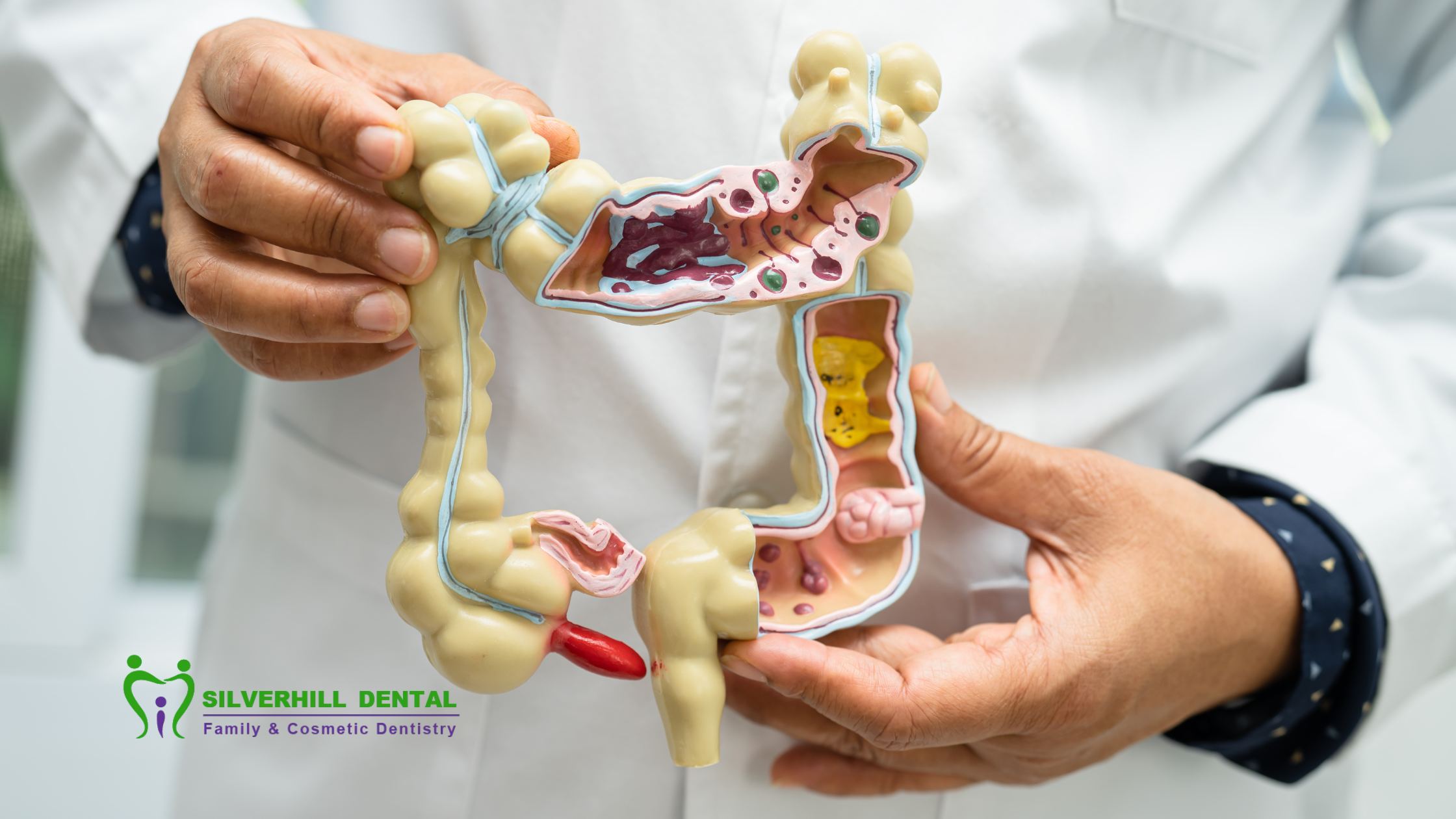 The Connection Between Gut Health and Oral Bacteria
